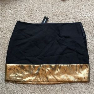 Express Skirt